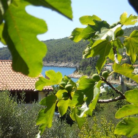 Apartments Ida Sveta Marina Drenje  Dış mekan fotoğraf